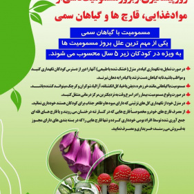 ۴ آبان روز پیشگیری از بروز مسمومیت ناشی از مواد غذایی، قارچ ها و گیاهان سمی