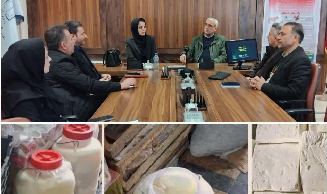 برگزاری جلسه هماهنگی پیشگیری از بیماری تب مالت در اردبیل / جمع‌آوری پنیرهای سنتی فاقد مشخصات از ابتدای سال 1405