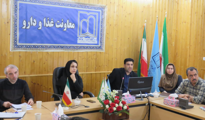جلسه ساماندهی امورات دارویی داروخانه های بیمارستانی و سرپایی