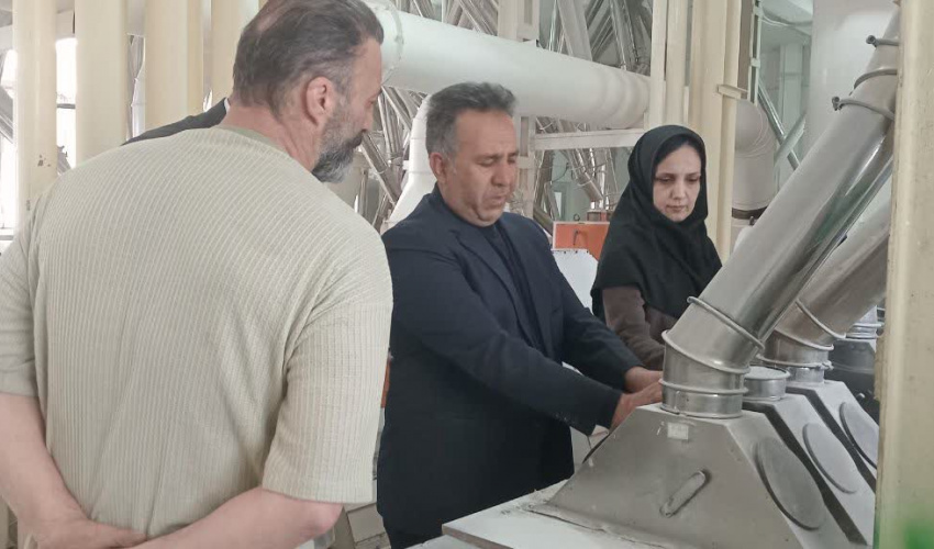 بازدید معاون و مدیر غذا معاونت غذا و دارو از کارخانه آرد کاظمی